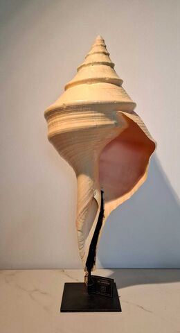 WhatsApp_Image_2026-10-10_at_13.37.05 Sale - Woongalerie De Hofstede